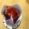 Symbolic Props for Macbeth